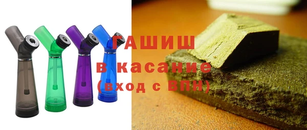 мдпв Гусев