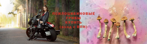 ECSTASY Гусь-Хрустальный