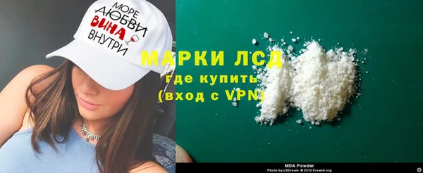 мдпв Гусев