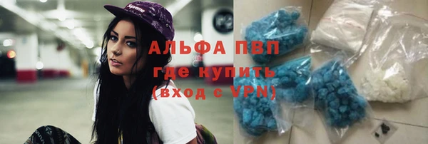 мдпв Гусев