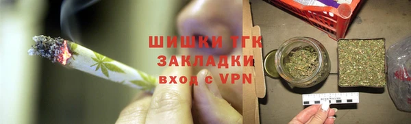 мдпв Гусев