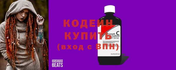 мдпв Гусев