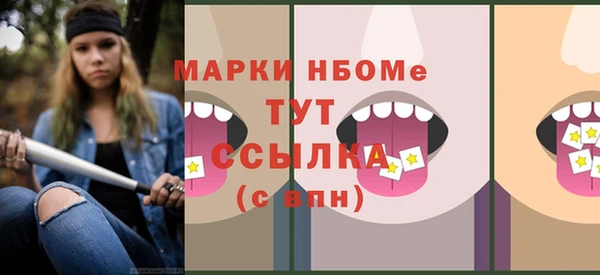 ECSTASY Гусь-Хрустальный
