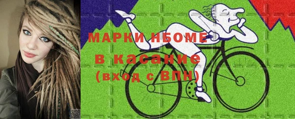 ECSTASY Гусь-Хрустальный