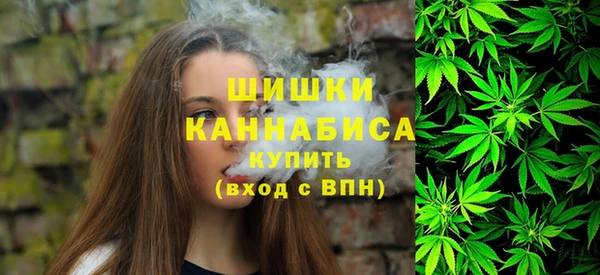 гидропоника Гусиноозёрск