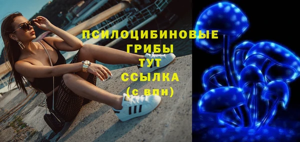 ECSTASY Гусь-Хрустальный