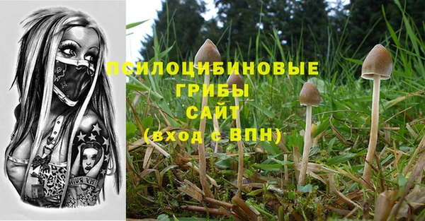 гидропоника Гусиноозёрск
