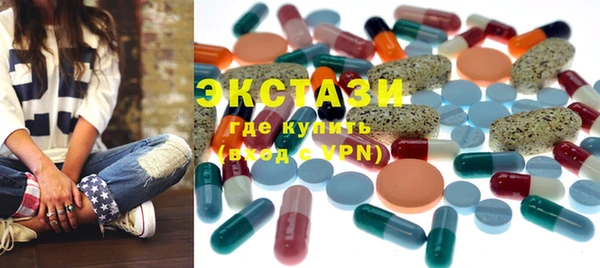 ECSTASY Гусь-Хрустальный