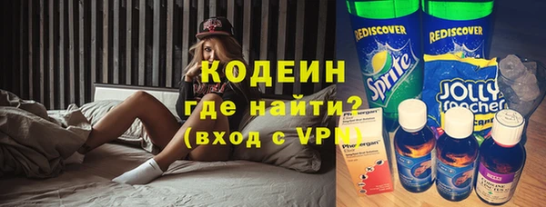 ECSTASY Гусь-Хрустальный