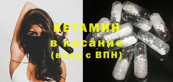 ECSTASY Гусь-Хрустальный