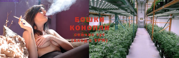 не бодяженный Дмитров
