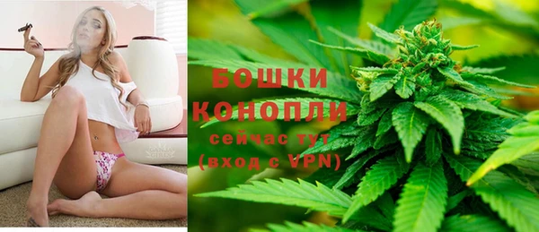 гашик Дмитриев